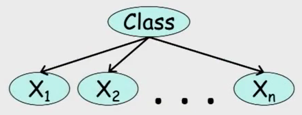 a diagram depicting a Naive Bayes