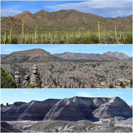 Arizona: Saguaro NP, Chiricahua Monument and Blue Mesas at Petrified Forest NP