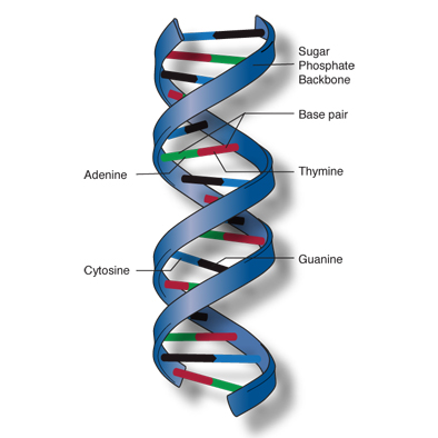 dna-concept