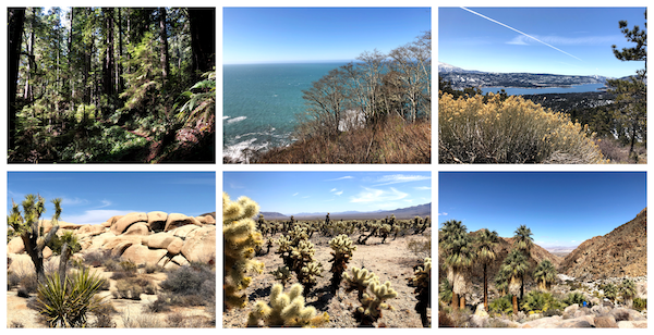 a collage of photos from a road trip in Colorado