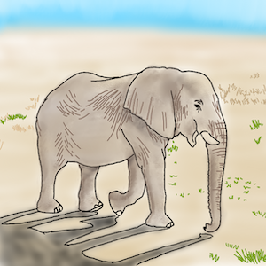 My drawing of an elephant