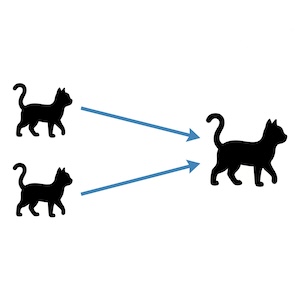 2 cats merging into one.