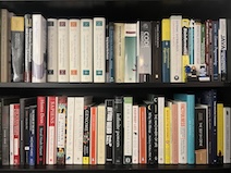 Photo of two rows of my bookshelf